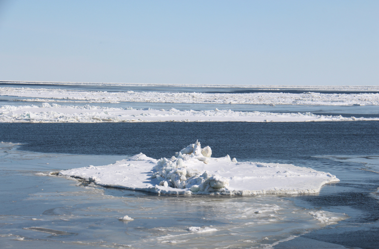 Фотография события: В ААНИИ пройдет десятый научно-практический семинар «Анализ гидрометеорологических процессов в арктических морях и гидрометеорологическое обеспечение морских операций в Арктике в 2025 году»